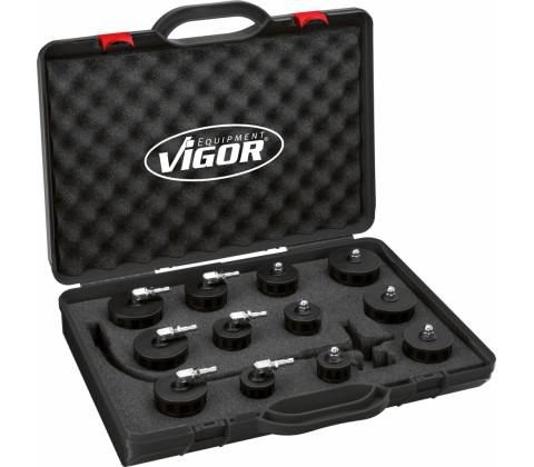 VIGOR V4192