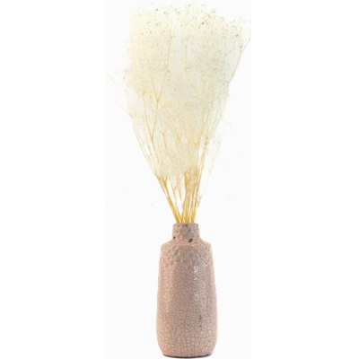 Stabilizované kvety Gypsophila - biela