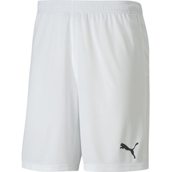 Puma Teamgoal 23 knit shorts jr 70426310