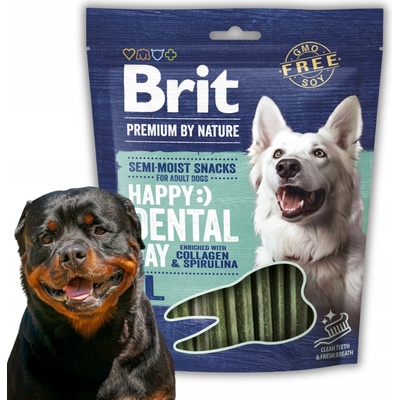 Brit Premium Dog by Nature Dental Snacks L 250 g