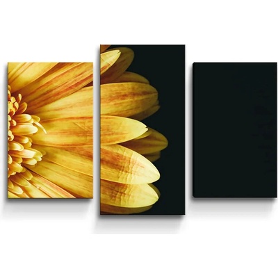 Sablio Obraz - 3-dílný Žltá gerbera - 75x50 cm