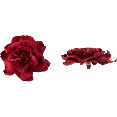 Gardenia - 5 ks
