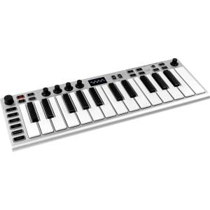ESI Xsynth Синтезатор (CEGO070)