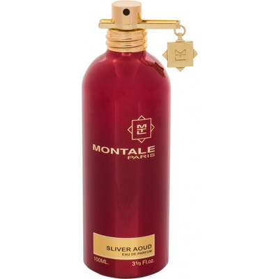 Montale Paris Silver Aoud parfumovaná voda pánska 100 ml tester