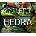 Project Hedra
