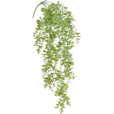 Eukalyptus převislý - zelená světlá