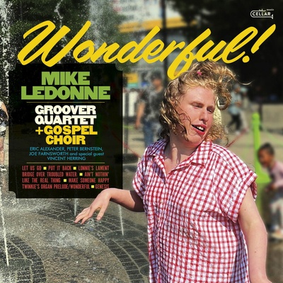 LEDONNE, MIKE & GROOVE... - WONDERFUL CD