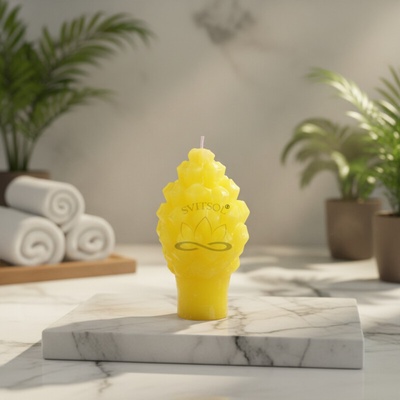 SVITSOL Šiška citronella 60 g