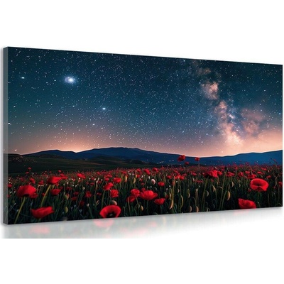 Obraz louka divokých máků pod hvězdami - 120x80