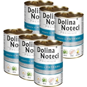 Dolina Noteci Noteć Valley Премиум пъстърва 6x400 г