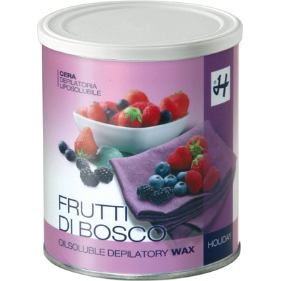 HOLIDAY Liposoluble Hypoalergenní depilační vosk FRUITS 800 ml
