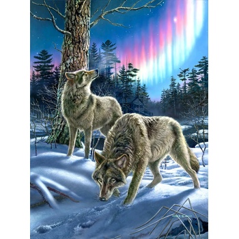 SunsOut - Puzzle Wolves and Lights - 1 000 piese