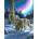 SunsOut - Puzzle Wolves and Lights - 1 000 piese