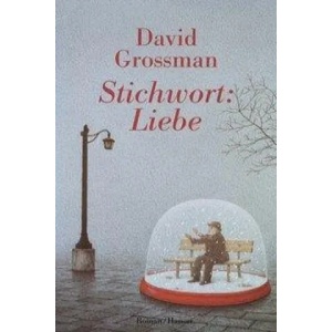 Stichwort: Liebe | David Grossman, Judith Brüll (ISBN: 9783446253827)