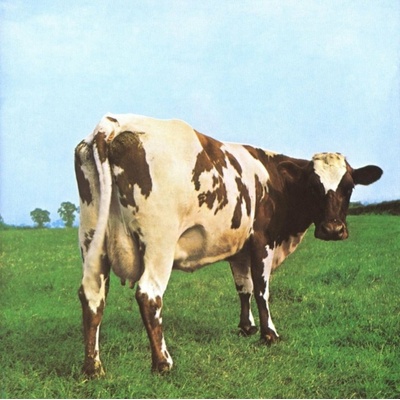 Atom Mother Pink Floyd Vinyl Gatefold Cover
