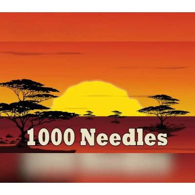 1000 Needles