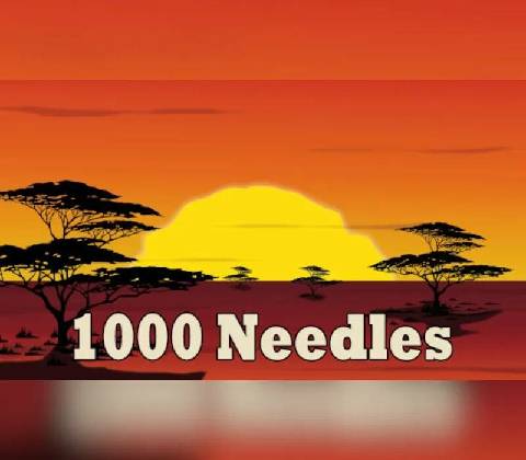 1000 Needles