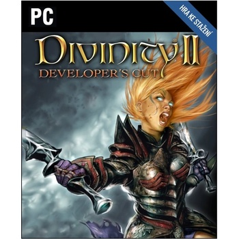 Divinity 2 (The Developer’s Cut)