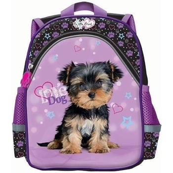 Benjamin Psík fialový