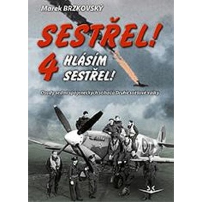 Sestřel! Hlásím sestřel! 4 - Osudy sedmi spojeneckých stíhačů Druhé světové války
