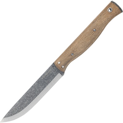 CONDOR Narrowsaur CTK3971-4.22HC