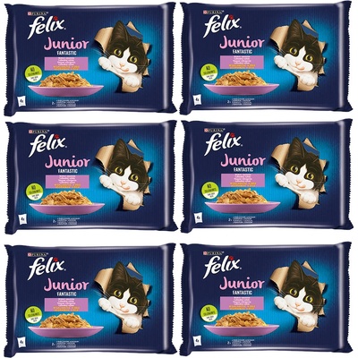 Felix Fantastic Junior kuracie a lososové želé 12 x 4 x 85 g