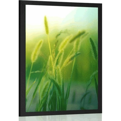 Plakát stébla trávy - 60x90 white