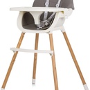 Chipolino Rio 2v1 Graphite