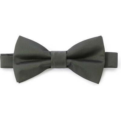 Celio Папийонка Libow ONE SIZE Celio | Zelen | МЪЖЕ | UNI