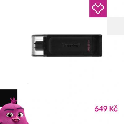 Kingston DataTraveler Max 256GB DTMAX/256GB