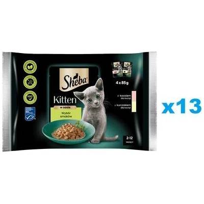 Sheba Kitten v omáčce kousky s losos kuřecí maso 52 x 85 g