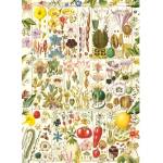 Gibsons - Puzzle Botanical Bliss - 1 000 piese