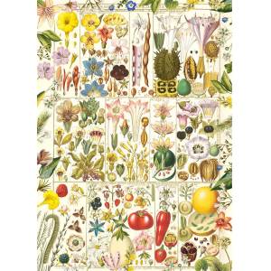 Gibsons - Puzzle Botanical Bliss - 1 000 piese