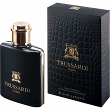 Trussardi Uomo 2011 toaletná voda pánska 50 ml