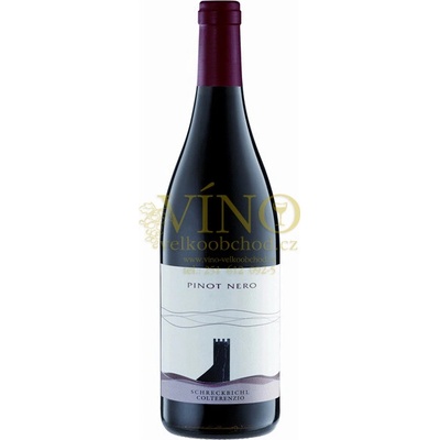 Alto Adige Colterenzio Colterenzio St. Daniel Riserva Pinot Nero 2022 DOC 13,5% 0,75 l italské červené víno z oblasti Alto Adige (holá láhev)