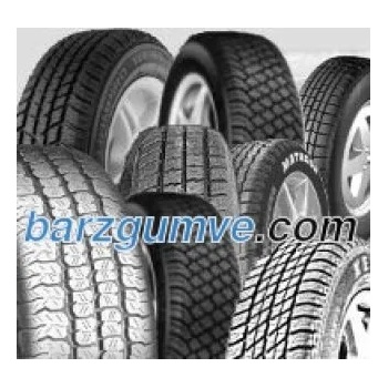 Pirelli Scorpion Winter 2 Elect NE0 XL 255/45 R21 106V