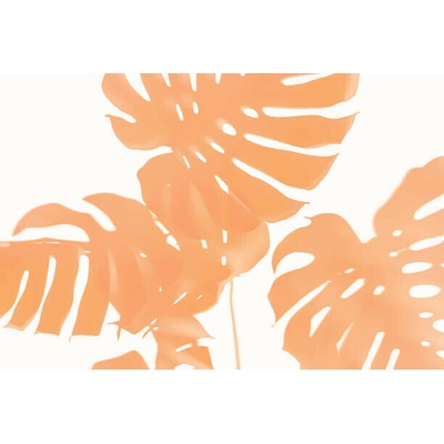 Plakát, Obraz - Trendy Shadow of Tropical leaves of, Iryna Veklich, 40 × 26.7 cm