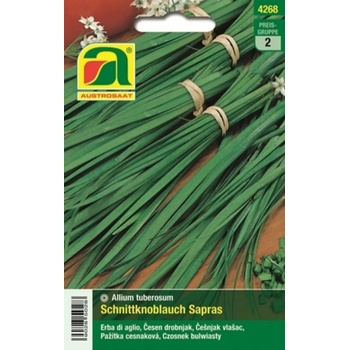 AUSTROSAAT Pažítka "Sapras" - 1 bal.