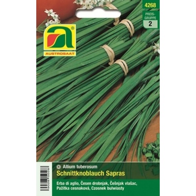 AUSTROSAAT Pažítka "Sapras" - 1 bal.