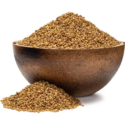 Grizly Alfalfa BIO semienka na klíčenie 250 g