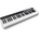IK Multimedia iRig Keys 49