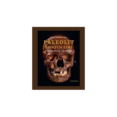 Paleolit českých zemí