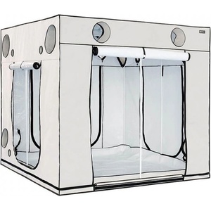 HOMEbox Гроубокс HOMEbox Ambient Q240+ 240x240x220cm