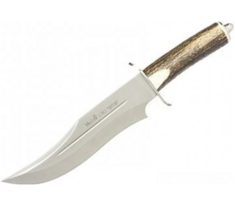 Muela Lobo 23A