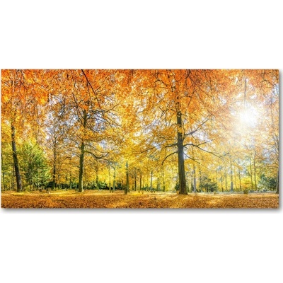 Fotoobraz na skle jesenné les 100x50 cm