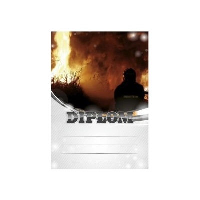 Diplom 6671