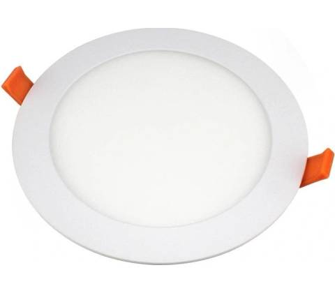 Nedes LPL124