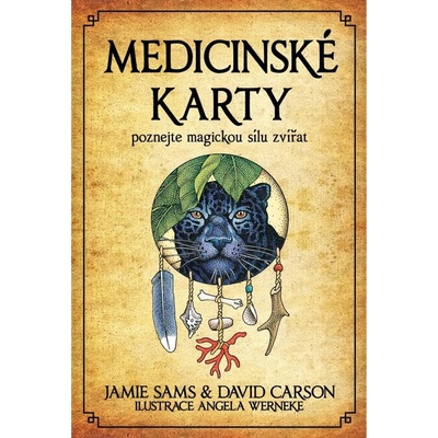 Medicinské karty Sams Jamie Werneke Angela Carson David
