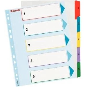 Esselte Binder holders for A4 Mylar with descriptive page (10K200D)