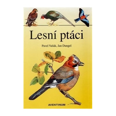 Lesní ptáci